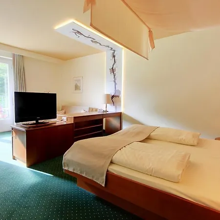 Hotel Akzent Waldhotel Rheingau 4*