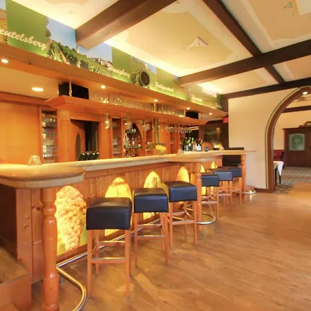 莱茵高阿克森特森林酒店 4* 盖森海姆