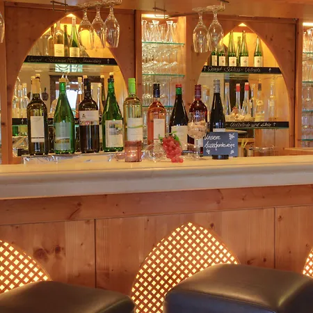 莱茵高阿克森特森林酒店 4* 盖森海姆