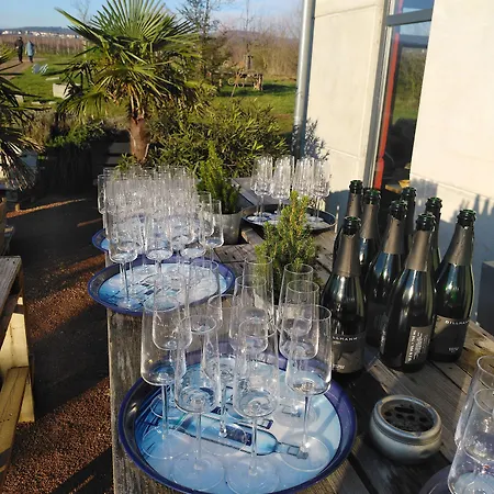 Akzent Waldhotel Rheingau Otel 4*