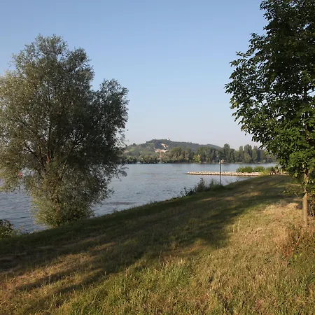 Akzent Waldhotel Rheingau Otel