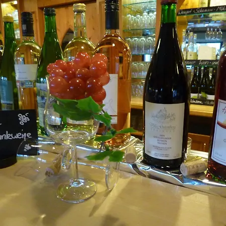 莱茵高阿克森特森林酒店 酒店