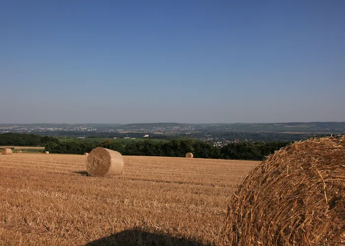Akzent Waldhotel Rheingau Hotel